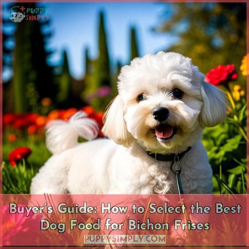 Buyer’s Guide: How to Select the Best Dog Food for Bichon Frises
