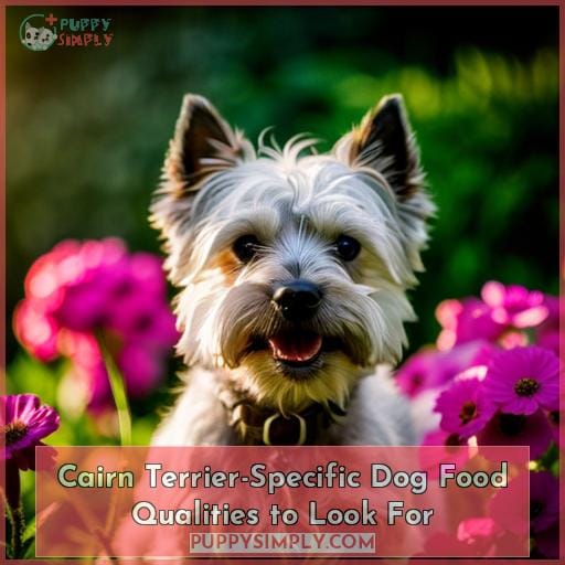 Cairn Terrier-Specific Dog Food Qualities to Look For