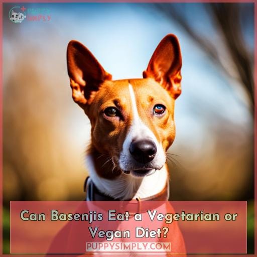 Can Basenjis Eat a Vegetarian or Vegan Diet