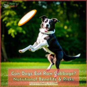 can dogs eat cabbage raw