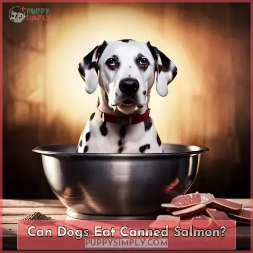 Can Dogs Eat Canned Salmon