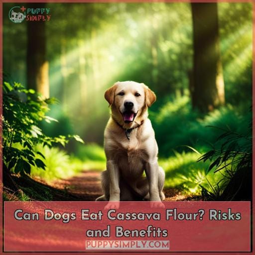 Can Dogs Eat Cassava Flour? Risks And Benefits