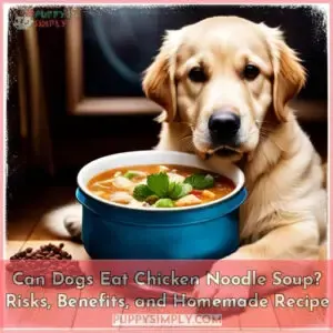 can dogs eat chicken noodle soup