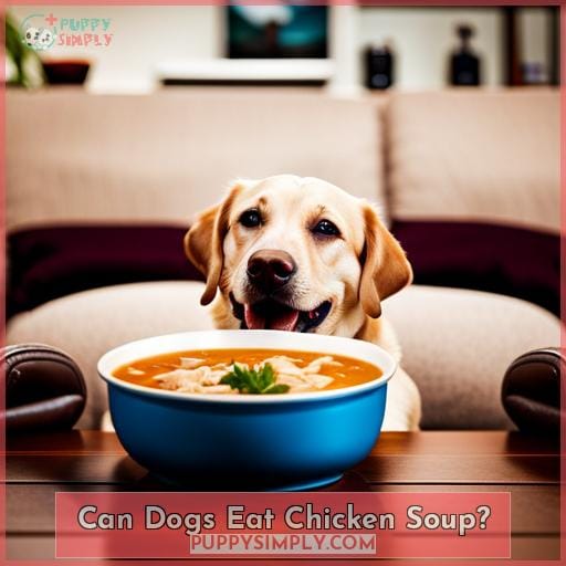 Can Dogs Eat Chicken Soup