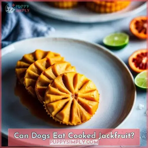 Can Dogs Eat Cooked Jackfruit