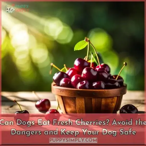 can dogs eat fresh cherries