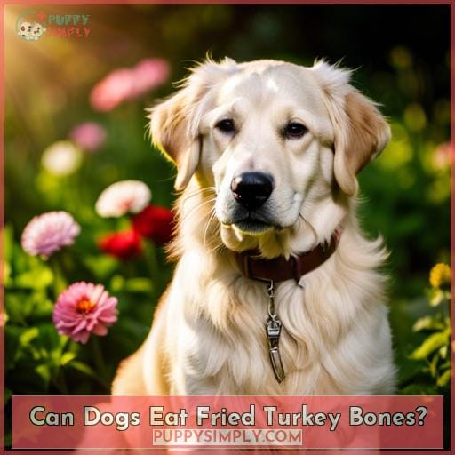 Can Dogs Eat Fried Turkey Bones