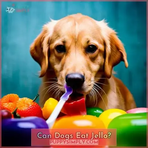 Can Dogs Eat Jello