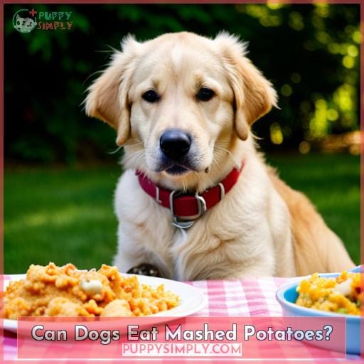 Can Dogs Eat Mashed Potatoes