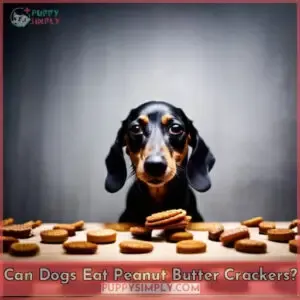 can dogs eat peanut butter crackers
