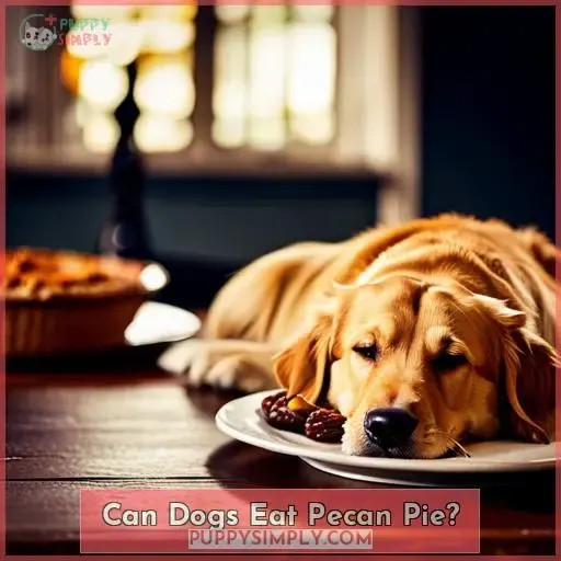 Can Dogs Eat Pecan Pie