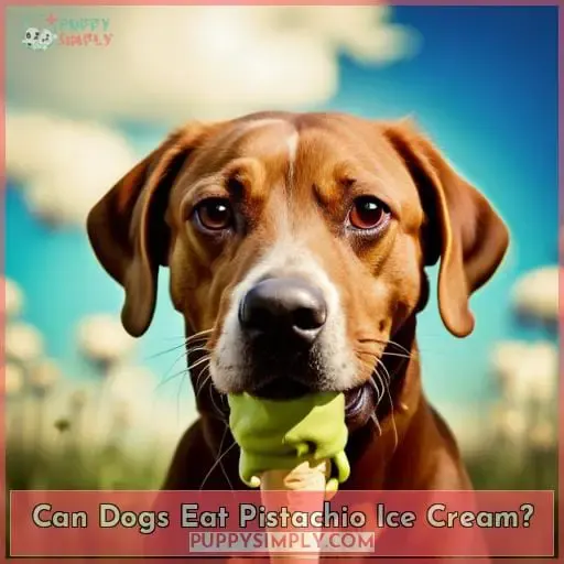 Can Dogs Eat Pistachio Ice Cream