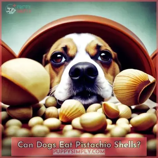 Can Dogs Eat Pistachio Shells