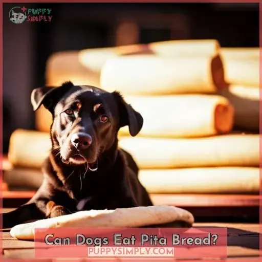 Can Dogs Eat Pita Bread