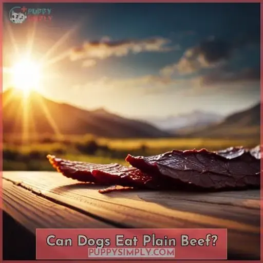 Can Dogs Eat Plain Beef