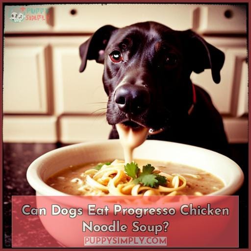 Can Dogs Eat Progresso Chicken Noodle Soup