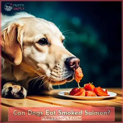 Can Dogs Eat Smoked Salmon