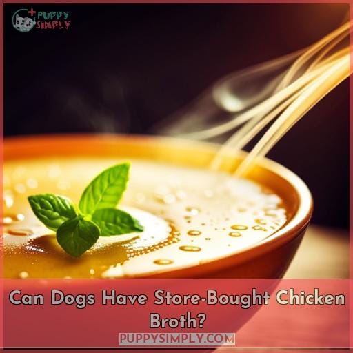 Can Dogs Have Store-Bought Chicken Broth