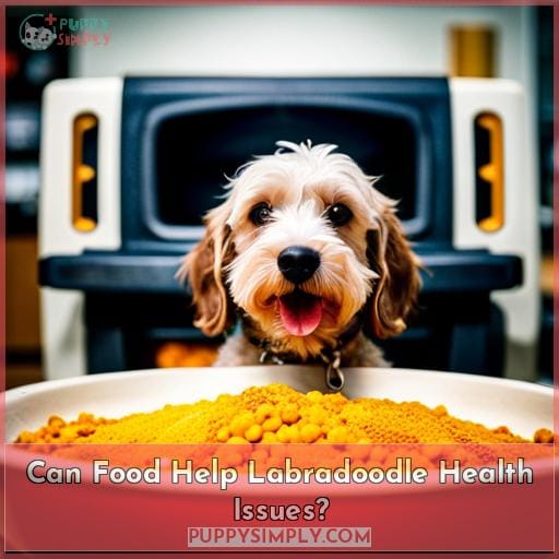 Can Food Help Labradoodle Health Issues