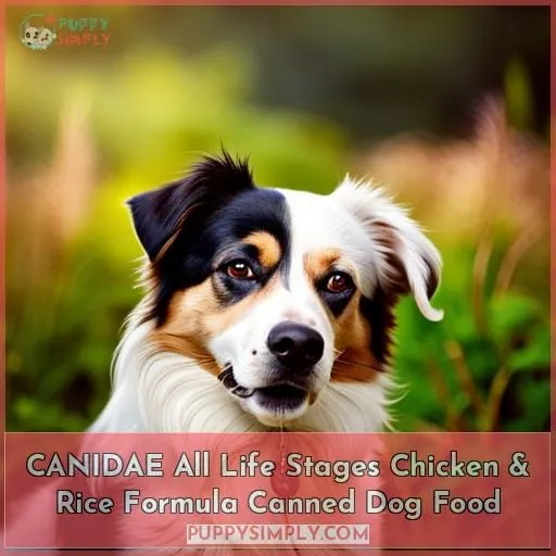 CANIDAE All Life Stages Chicken & Rice Formula Canned Dog Food