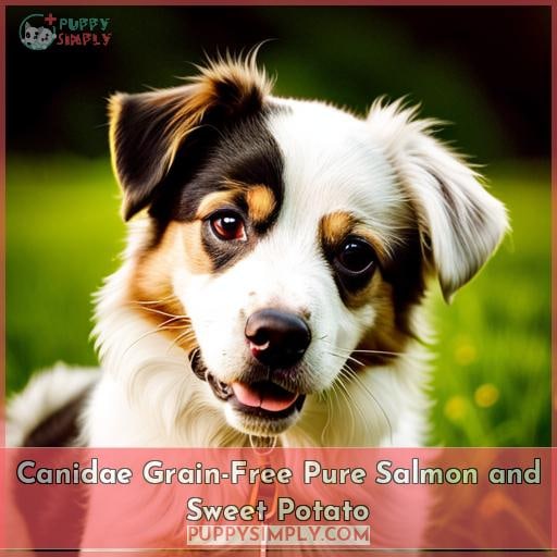 Canidae Grain-Free Pure Salmon and Sweet Potato