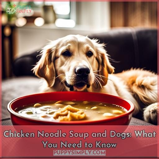 Chicken Noodle Soup and Dogs: What You Need to Know