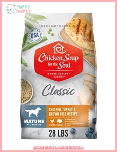 Chicken Soup for The Soul B07QFNNTNS