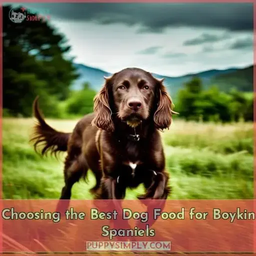 Choosing the Best Dog Food for Boykin Spaniels