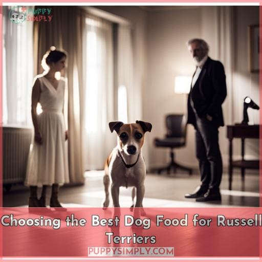 Choosing the Best Dog Food for Russell Terriers