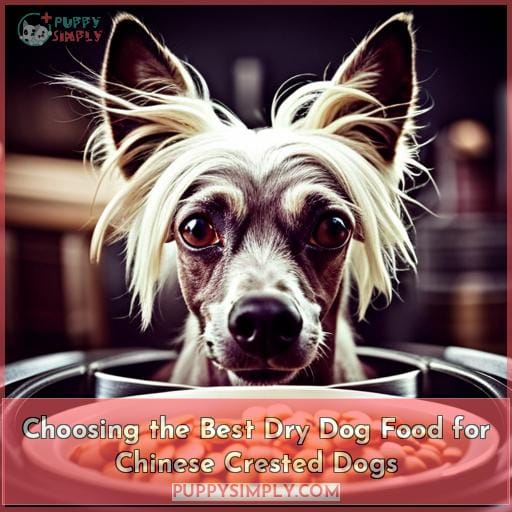 Choosing the Best Dry Dog Food for Chinese Crested Dogs