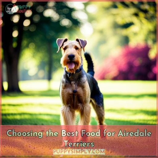 Choosing the Best Food for Airedale Terriers