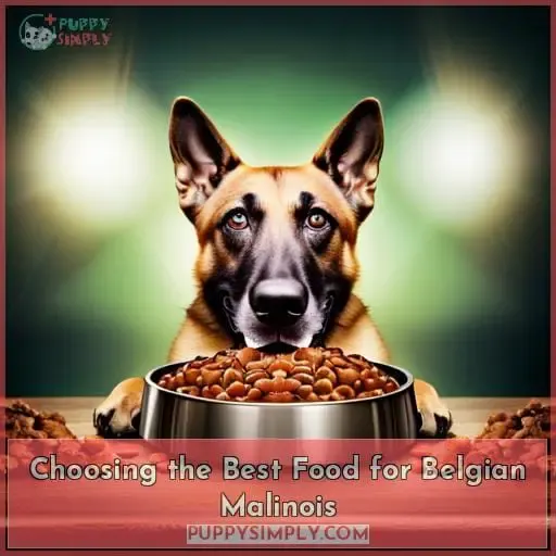 Choosing the Best Food for Belgian Malinois