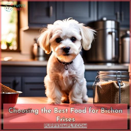 Choosing the Best Food for Bichon Frises