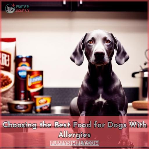 Choosing the Best Food for Dogs With Allergies