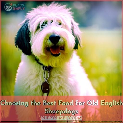 Choosing the Best Food for Old English Sheepdogs