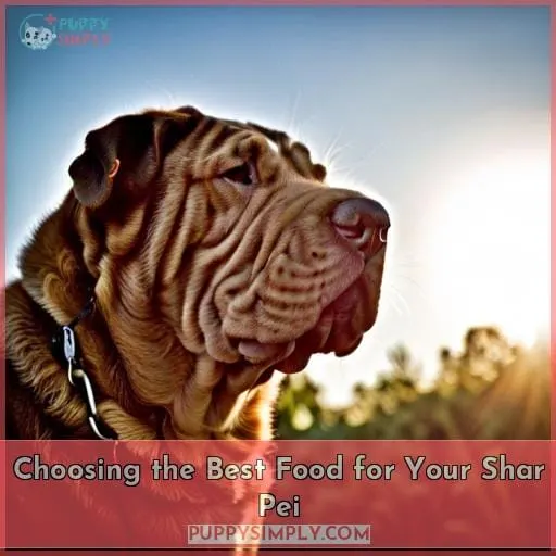 Choosing the Best Food for Your Shar Pei