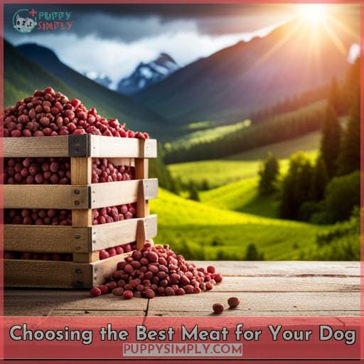 Choosing the Best Meat for Your Dog