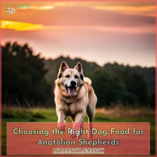 Choosing the Right Dog Food for Anatolian Shepherds