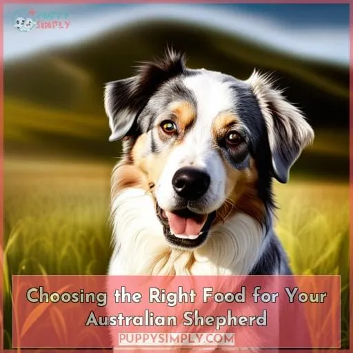 Choosing the Right Food for Your Australian Shepherd