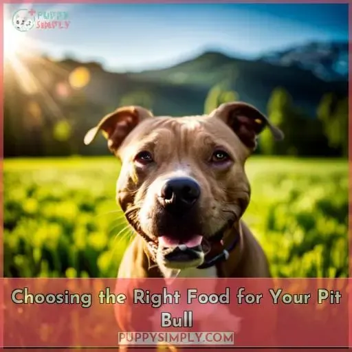 Choosing the Right Food for Your Pit Bull