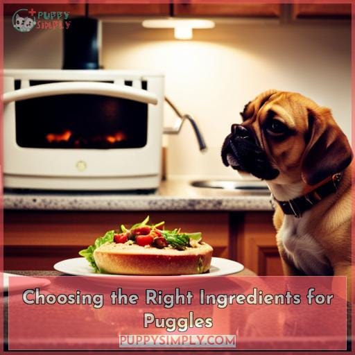 Choosing the Right Ingredients for Puggles