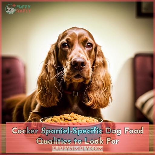 Cocker Spaniel-Specific Dog Food Qualities to Look For