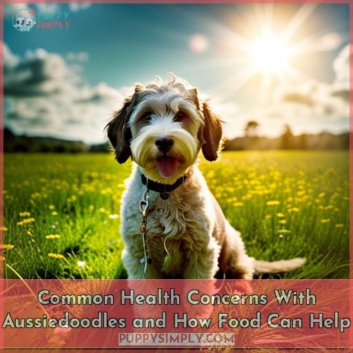 Common Health Concerns With Aussiedoodles and How Food Can Help
