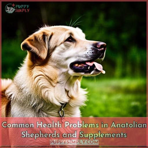 Common Health Problems in Anatolian Shepherds and Supplements