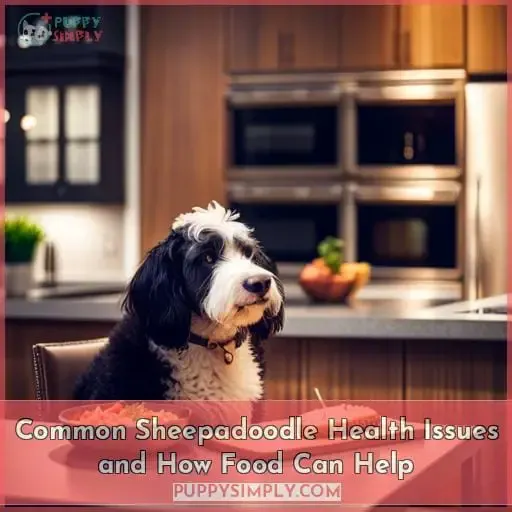 Common Sheepadoodle Health Issues and How Food Can Help