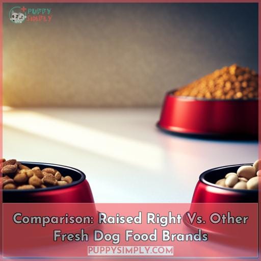 Comparison: Raised Right Vs. Other Fresh Dog Food Brands