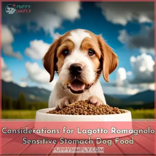 Considerations for Lagotto Romagnolo Sensitive Stomach Dog Food