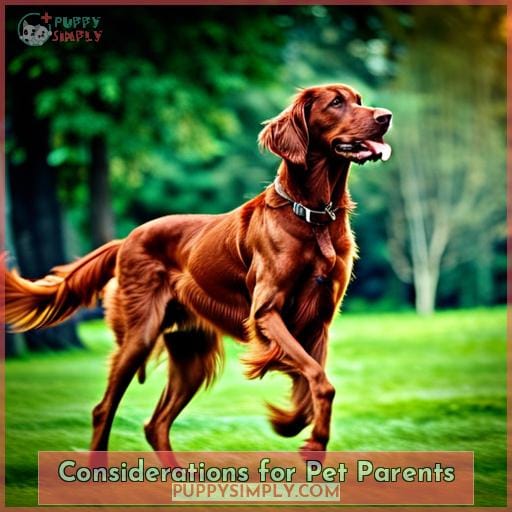 Considerations for Pet Parents