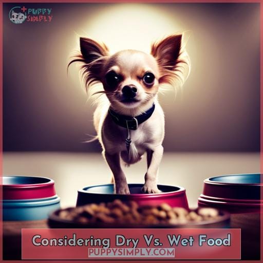 Considering Dry Vs. Wet Food