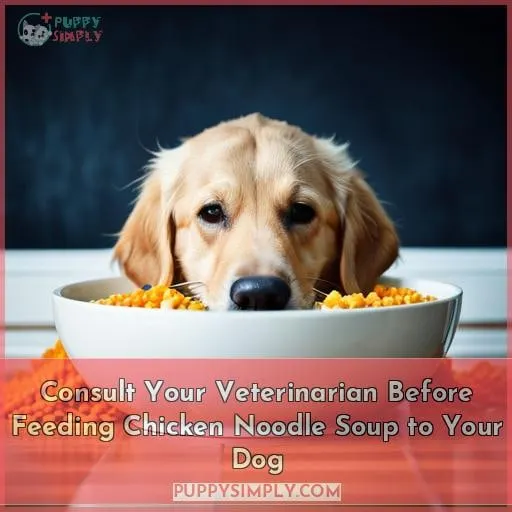 Consult Your Veterinarian Before Feeding Chicken Noodle Soup to Your Dog